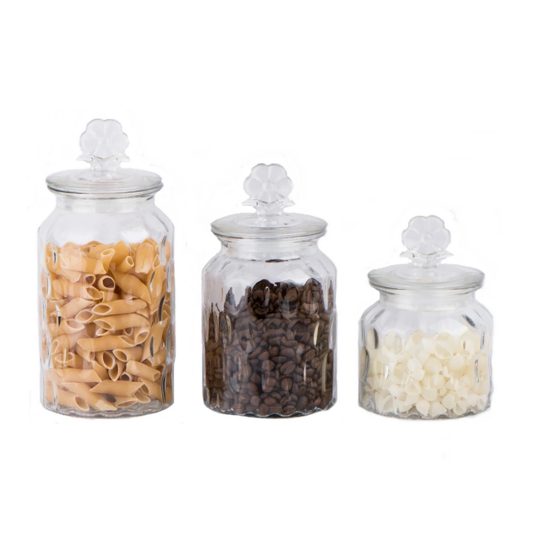 Embossed Glass Food Storage Canister/Glass Jar/Glass Bottle/Glassware/Food Jar/Glass Candy Jar with Glass Lid